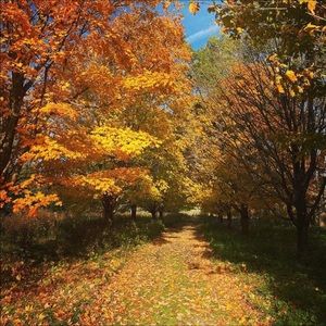 Meet your Posher, Patti